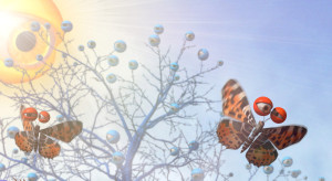 Augenwelt Schmetterling