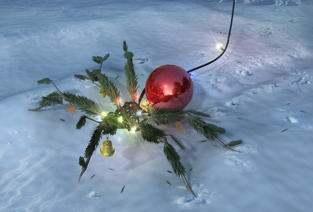 Weihnachtsspinne 2010