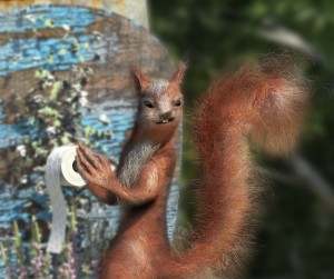 Wild Life Ausschnitt