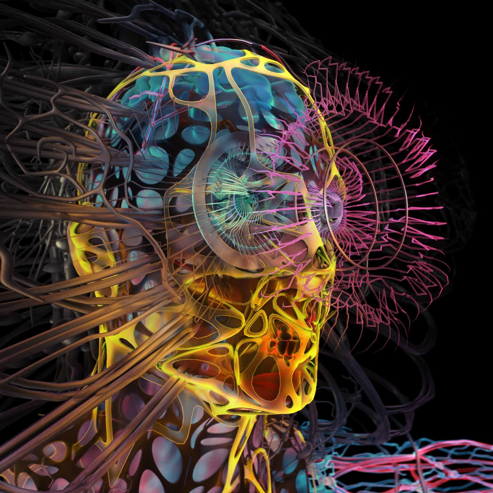 digitalhuman - Illustration Artwork